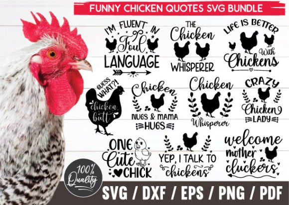 Funny Chicken Quotes Svg Bundle for Creative Embroidery